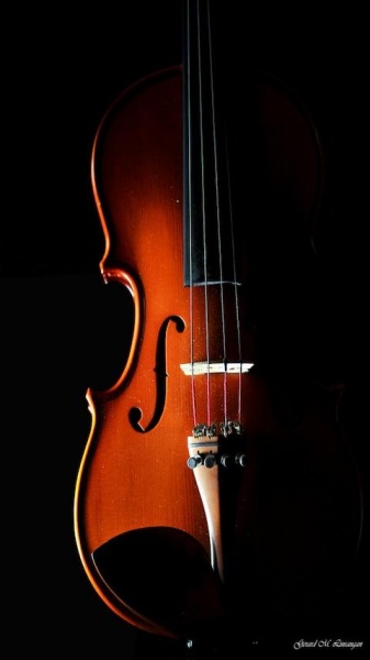 clases de violin